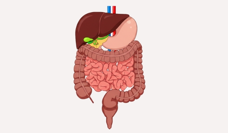 liver-diseases