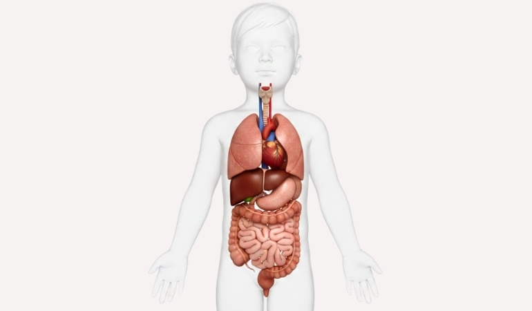 pancreatic-disease